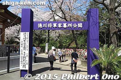 Path to the Tokugawa tombs.