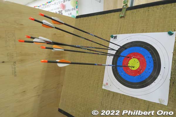 Assist Archery target on old tatami mat.